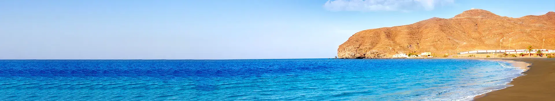 Holiday Banner