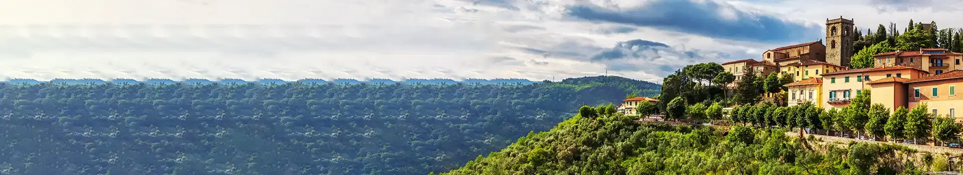 Holiday Banner